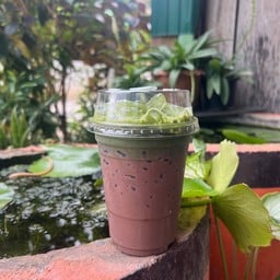 มัทฉะโกโก้