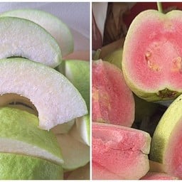 ฝรั่งกิมจู+ฝรั่งเนื้อแดง [เซ็ตกล่อง 2 ช่อง]