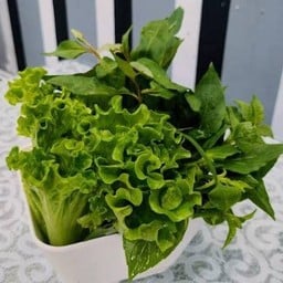 เพิ่มผัก