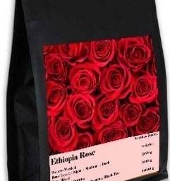 โรเซ่ คอฟฟี่