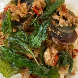 กะเพราไข่เยี่ยวม้าราดข้าว
