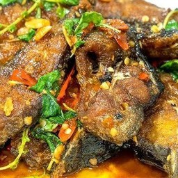 ข้าวปลาดุกทอดผัดกระเพรา