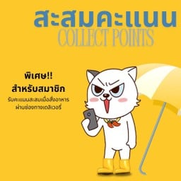 สะสมคะแนน