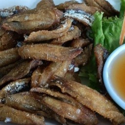 เนื้อปลากุแลทอดราดน้ำปลา+น้ำยำมะม่วง