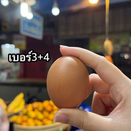 ไข่ไก่สด (เบอร์3-4)