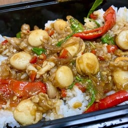 ข้าวหอมกะเพราหอยเชลล์