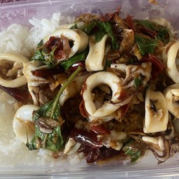 ข้าวกะเพราปลาหมึก