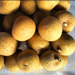 ลำใย(แพ็ค)