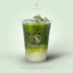 มัทฉะน้ำช่อดอกมะพร้าว