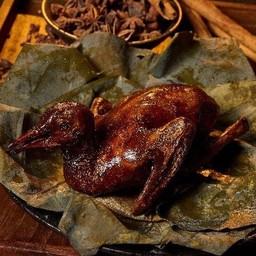 นกพิราบฮ่องกง