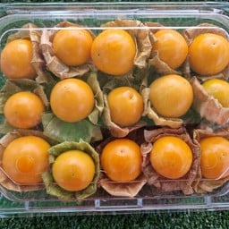 ครัวสามศูนย์แปด