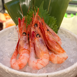 Ama Ebi Sashimi กุ้งหวาน