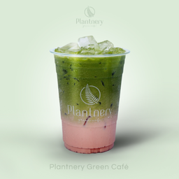 มัทฉะสตรอว์เบอร์รี่ลาเต้