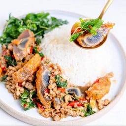 ข้าว กระเพราหมูกรอบ+ไข่เยี่ยวม้า