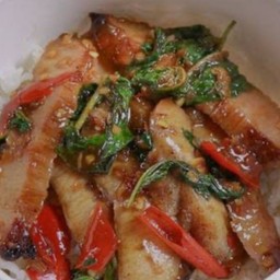 ข้าวราดกระเพราคอหมูย่าง