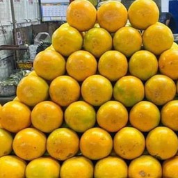 ส้มสายน้ำผึ้งฝางเบอร์4 1gk