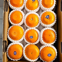 ส้มแมนดารินออสเตรเลีย