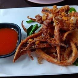 ปลาหมึกซอย4