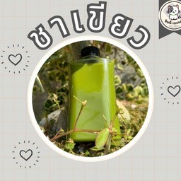 Jinny Kitchen Watcharapol