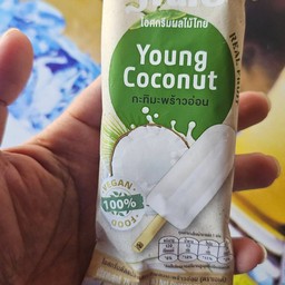Young Coconut Pudding
