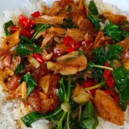 กะเพราขาหมู ราดข้าว