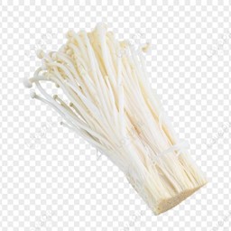 เห็ดเข็มทอง