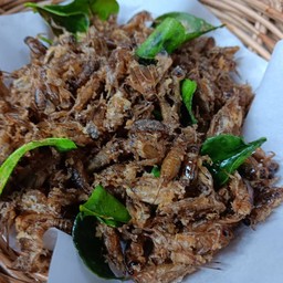 จิ้งหรีดทอด