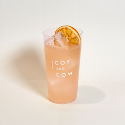 FERMENTED GINGER BEER