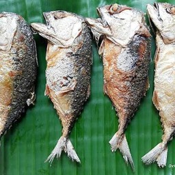 ปลาทูทอด