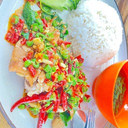 เมนูข้าวกระเพราต่างๆ(หมู เนื้อ ไก่)