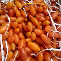 บ่าหลอด ขีด