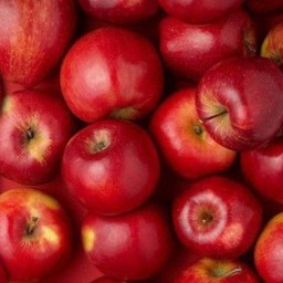 Sunny Tart  ซันนี่ทาร์ต