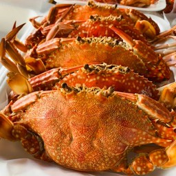 ปูม้านึ่งไซส์3/4ตัวโล1000กรัม