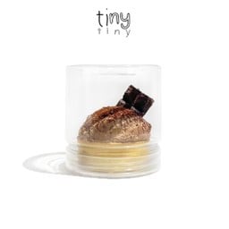 005 hazelnut tart
