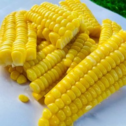 ข้าวโพด