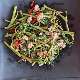 ผัดกระเฉดหมูสับ (เป็นกับ)