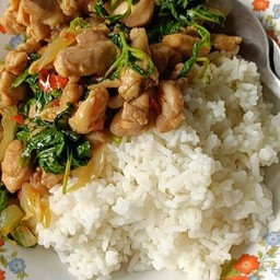 ข้าว + ผัดกะเพราไก่