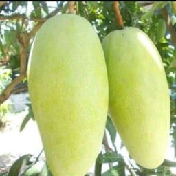 มะม่วงน้ำปลาหวานมือทอง สุขุมวิท71 (ปรีดีพนมยงค์ 2)