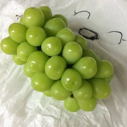 องุ่นไซมัสคัส 3ลูก