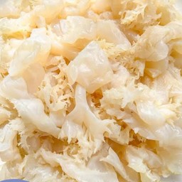 แมงกะพรุน