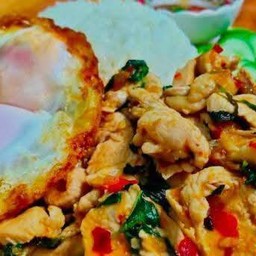 ข้าวกะเพราไก่
