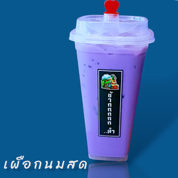 เผือกนมสด