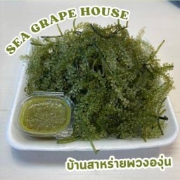 สาหร่ายพวงองุ่นน้ำจิ้มซีฟู้ด - สันติธรรม