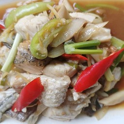 เนื้อปลากระพงผัดขิง