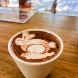 cocoa. (โกโก้ร้อน)