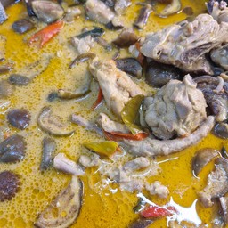 เฉพาะน้ำยา   น้ำยาเขียวหวานไก่   (ไม่เส้น  ไม่ผัก)