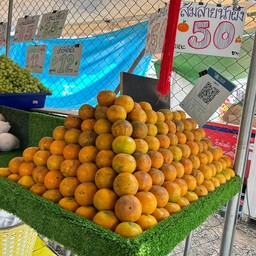 ส้มสายน้ำผึ้ง
