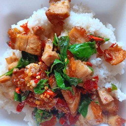 ก๋วยเตี๋ยว & อาหารตามสั่ง