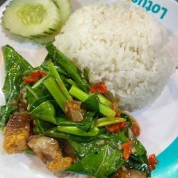 คะน้าหมูกรอบ-ครัวกระเพราหอม (อาหารตามสั่ง)