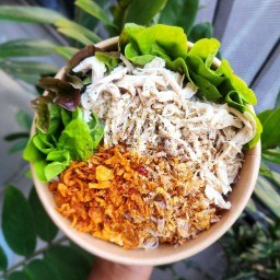 ลองแล หมี่ไก่ฉีก เทพารักษ์